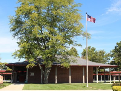 program image 2