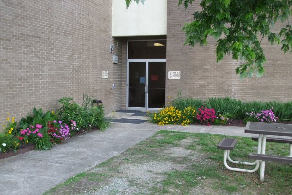 program image 2