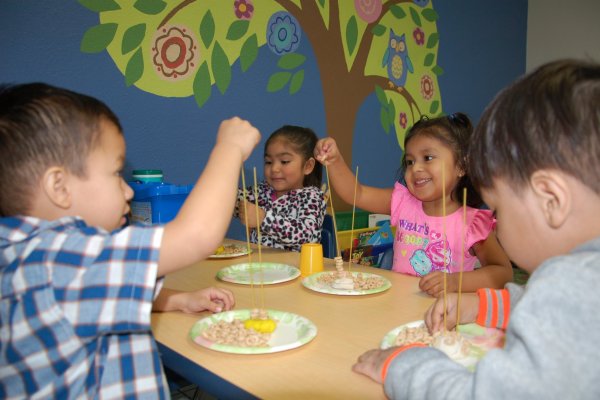 program image 2