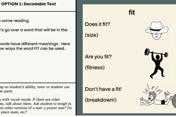 program image 2