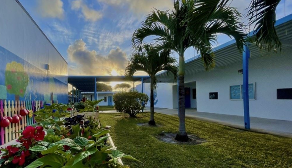 program image 1