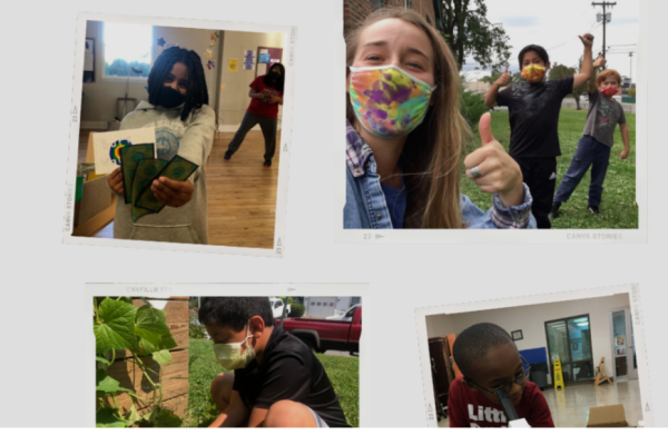 program image 2
