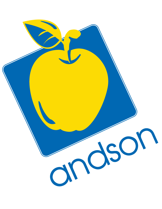 Andson Money logo