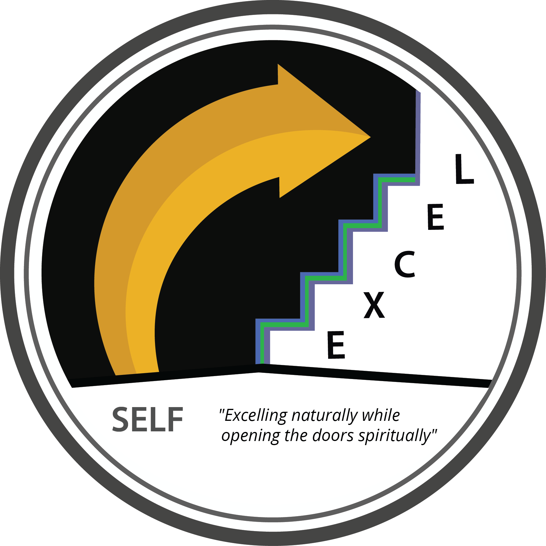 Self Excel Inc logo