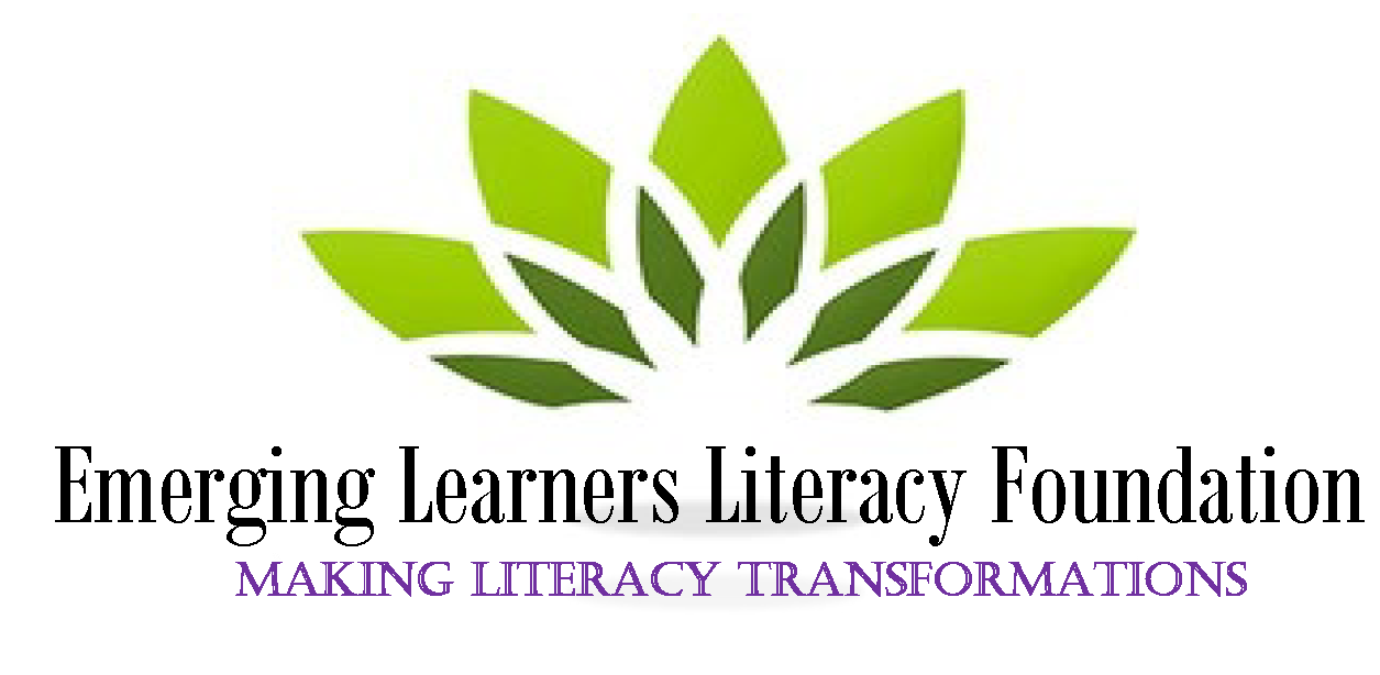 Our Voice logo