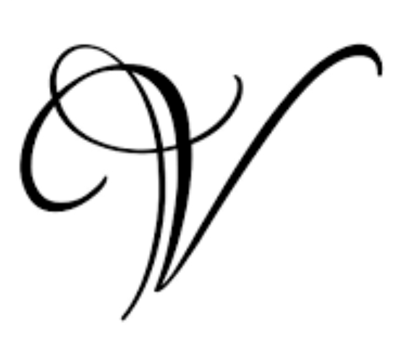 Vision's Educational Learning and Tutoring Services Inc. logo